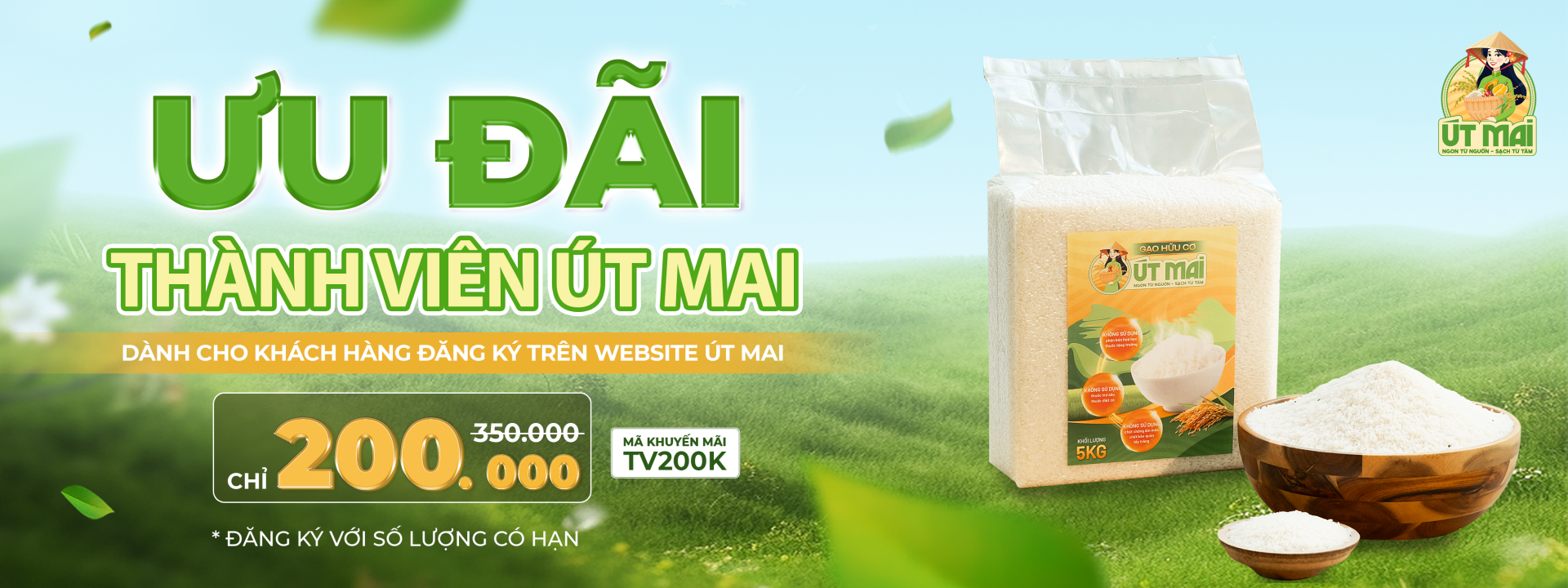 Banner Gạo