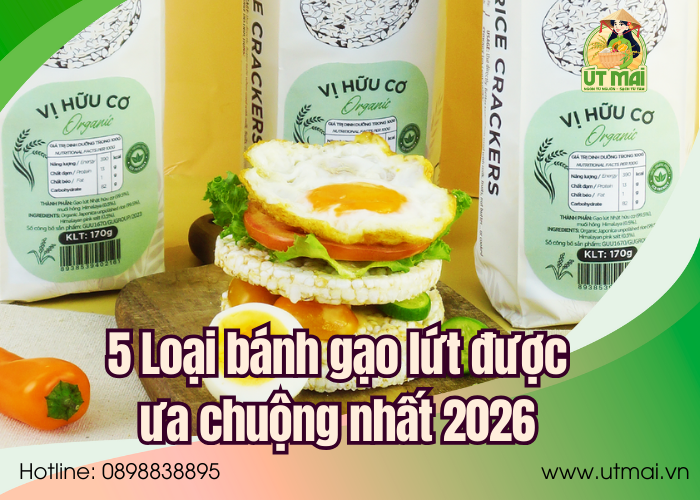5 Loại bánh gạo lứt được ưa chuộng nhất 2026