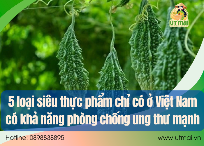 5 loại siêu thực phẩm chỉ có ở Việt Nam có khả năng phòng chống ung thư mạnh