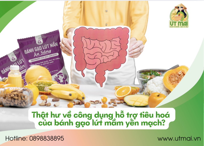 Bánh gạo lứt mầm yến mạch có thực sự hỗ trợ tiêu hoá?