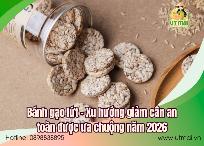 Bánh gạo lứt – Xu hướng giảm cân an toàn được ưa chuộng năm 2026