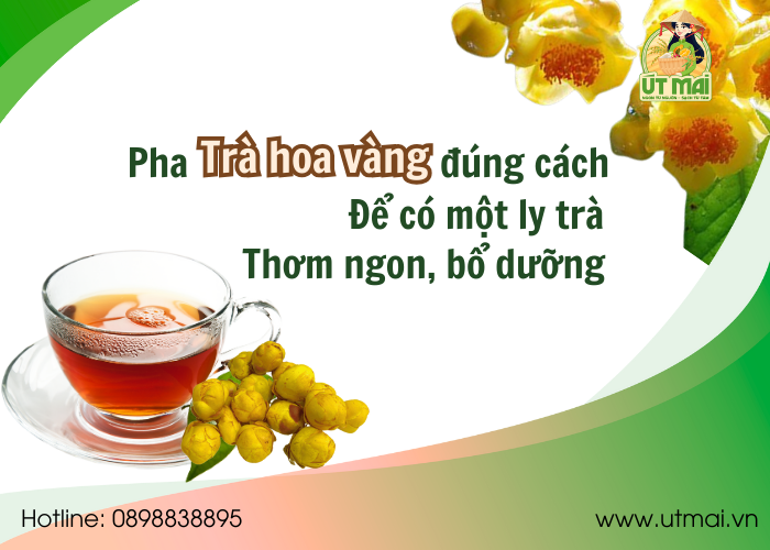 Các Bước Pha Trà Hoa Vàng Sấy Đúng Cách Để Đạt Được Hương Vị Thơm Ngon Nhất.
