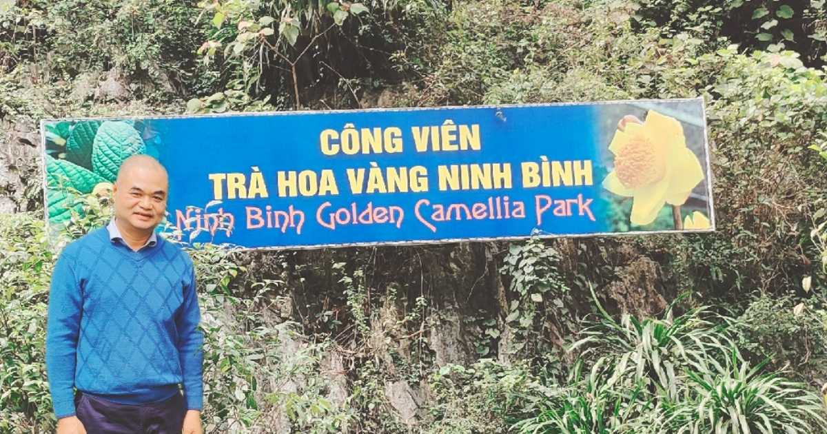 Công viên trà hoa vàng tại Ninh Bình