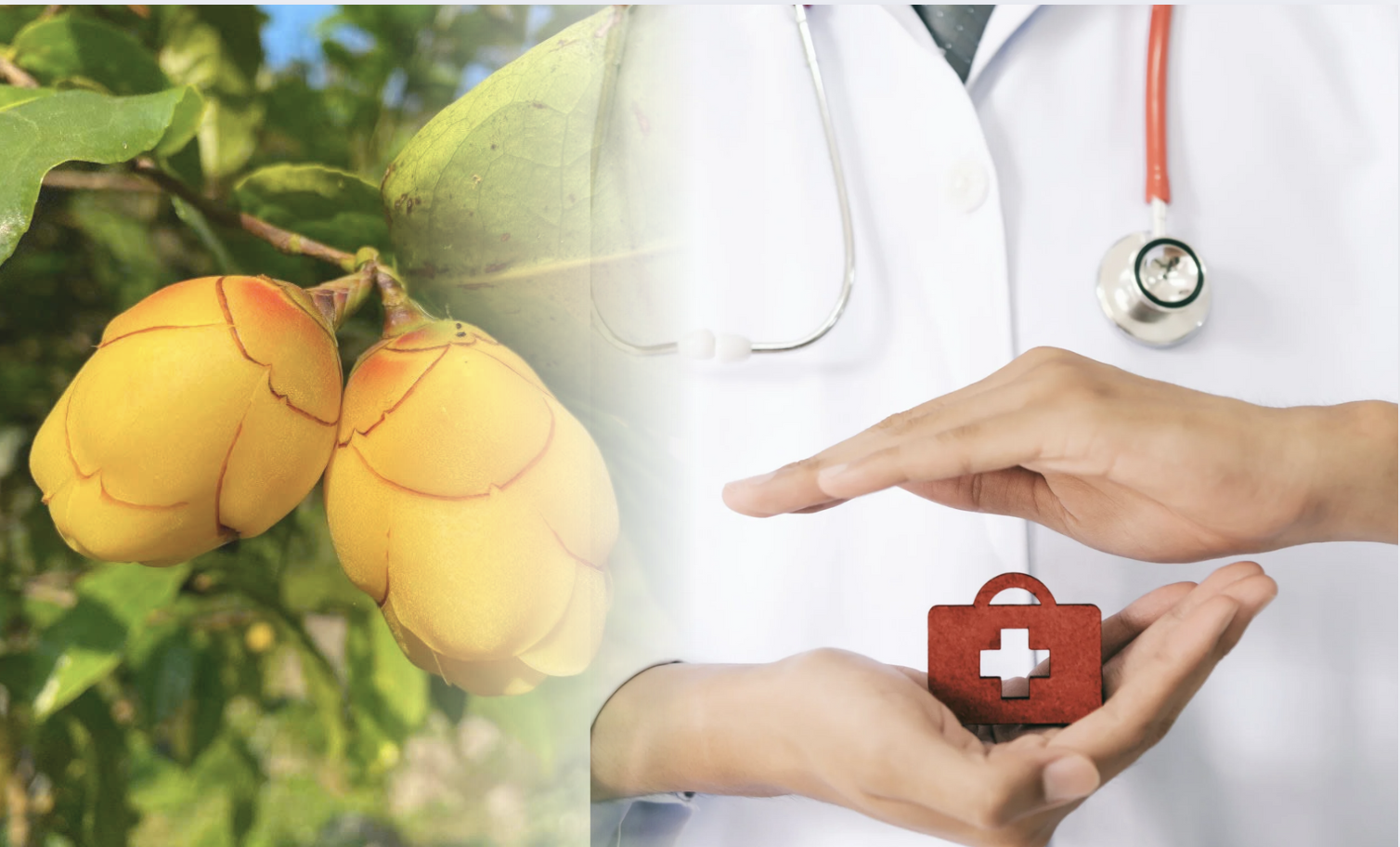 Trà hoa vàng còn có rất nhiều công dụng nổi bật cho sức khoẻ