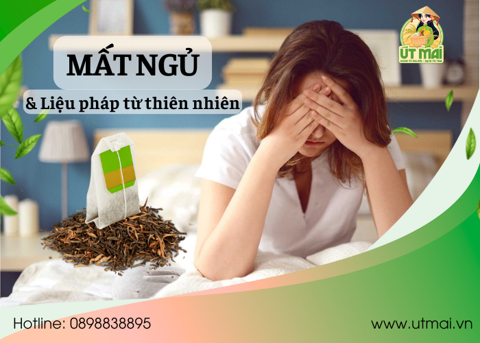 Mất Ngủ và Giải Pháp Từ Thiên Nhiên Hỗ Trợ Giấc Ngủ Ngon