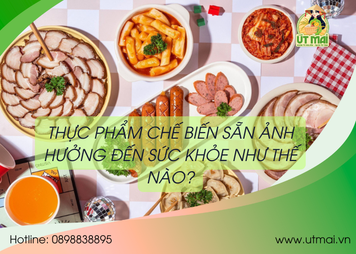 THỰC PHẨM CHẾ BIẾN SẴN ẢNH HƯỞNG ĐẾN SỨC KHỎE NHƯ THẾ NÀO?