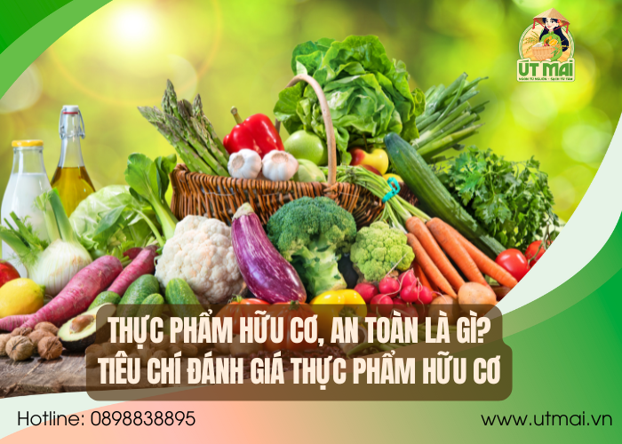 Thực phẩm hữu cơ , an toàn là gì? Tiêu chí đánh giá thực phẩm hữu cơ