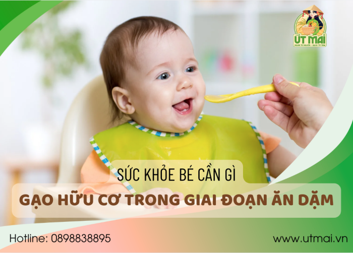 Sức khỏe bé cần gì từ gạo hữu cơ trong giai đoạn ăn dặm?