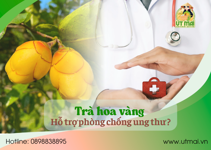TRÀ HOA VÀNG HỖ TRỢ NGĂN NGỪA UNG THƯ?