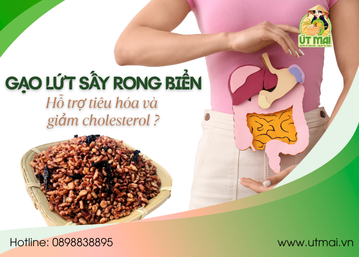 LỢI ÍCH CỦA GẠO LỨT SẤY, RONG BIỂN SẤY TRONG VIỆC HỖ TRỢ TIÊU HOÁ VÀ GIẢM CHOLESTEROL