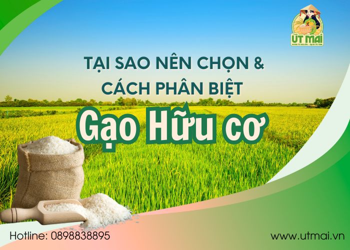 Tại sao nên chọn và cách nhận biết gạo hữu cơ?